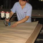 Faced Natural Okoume Wood Veneer Crown Grain Fancy Panel E1/E0 Grade Plywood