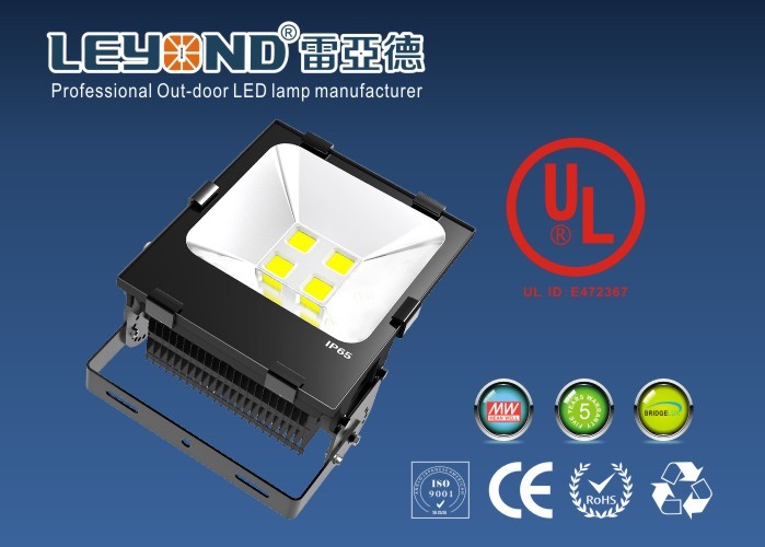 Water Proof COB Outdoor LED Flood Lights Bridgelux Chip 5 Years Warranty UL CUL
