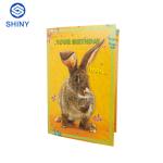 Christmas Music Greeting Card Voice Recordable Custom Color
