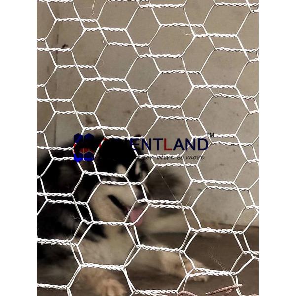 20 Gauge 150 Ft Poultry Hex Netting , Chicken Wire Netting 3/4" Aperture