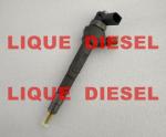 BOSCH Fuel injector 0445110646 0 44 5110 369 0 445 110 368 0 445 110 646 0 445