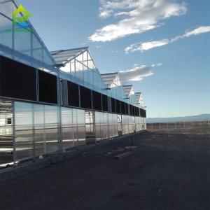 Wholesale Light Dep Blackout PC Sheet Greenhouse Hemp Flowerhouse Farmhouse Greenhouse from china suppliers
