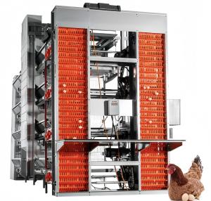 Wholesale A Type Battery Layer Chicken Cage Automatic Chicken Poultry Farming Equipment from china suppliers