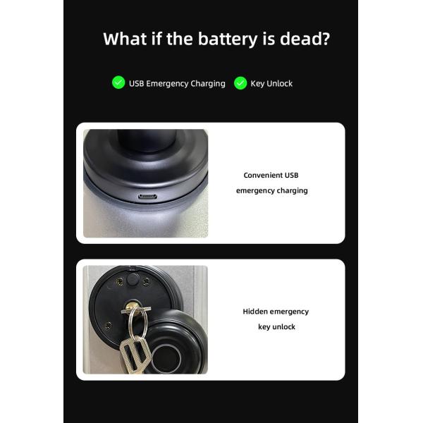 Biometric Fingerprint Door Knob Smart Lock Black Bluetooth House Lock