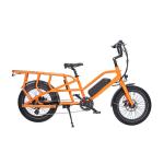 36V 13Ah Lithium Battery Electric Delivery Bike for Family 20inch Dual Battery