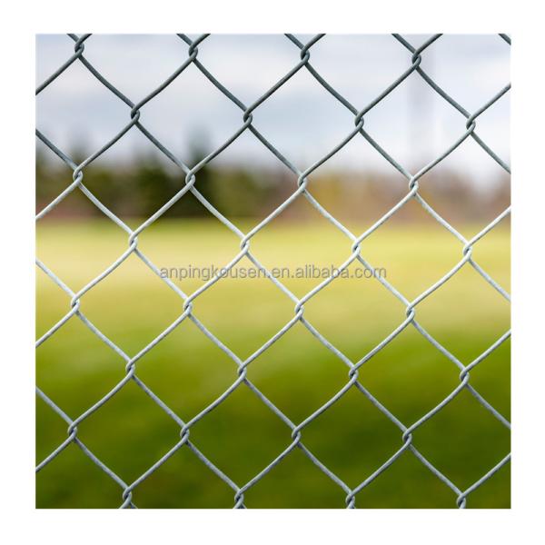 Galvanized PVC Coated Low Carbon Steel Wire Chain Link Fence for Farming in 50ft Roll
