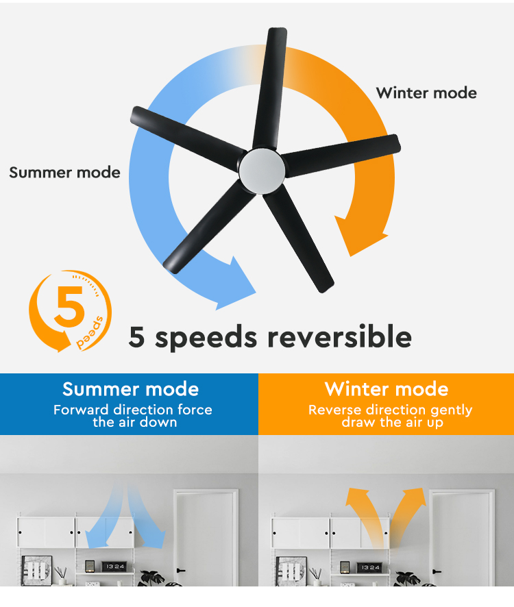 ceiling fan