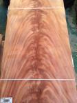 Mahogany, African Khaya Crotch Wood Veneer