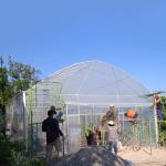Round Arch Side Ventilation Plastic Tunnel Greenhouse Trade Single-span