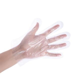 Wholesale Clear Disposable PE Gloves / Cleaning Prepare Food Decorating Powder Free PE Gloves from china suppliers