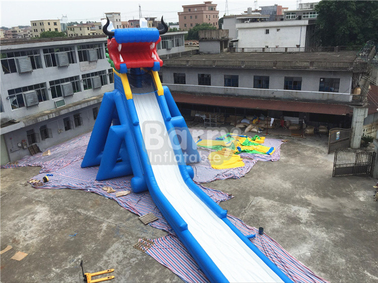 Adult Inflatable Water Slide