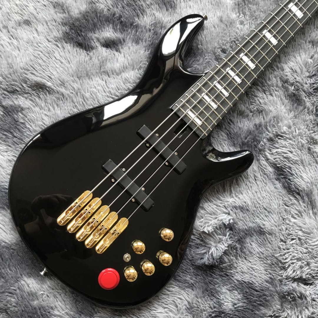 Custom 5 Strings BBNE2 Nathan East Signature Model Neck Through Body 5-piece Maple Mahogany Neck Electric Bass Guitar