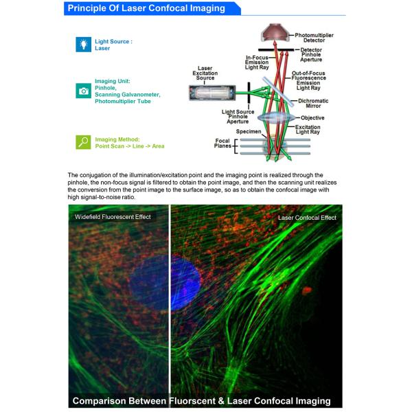 A64.1095 Opto Edu Laser Confocal Microscope Full Auto Motorized