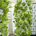 65L Water Capacity 10 Layers 80 Plant Holes Hydroponic Grow Tower System for
