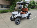 Electric Four Wheel New Energy 2 Seater Off Road Lifted Golf Carts
