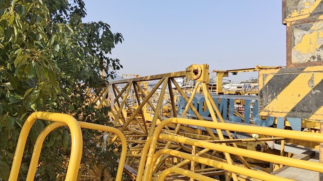 Zoomlion Used Tower Cranetc (7525-16) for Sale