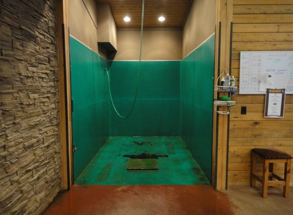 Prefabricated Steel Structure Horse Barn - Durable Metal Horse Stables