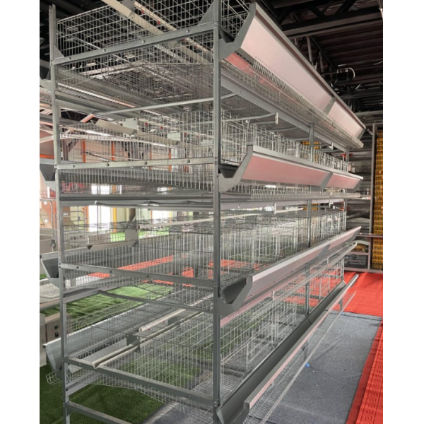 High Efficiency Easy Setup Poultry Farming Equipment with Hot Dip Galvanized Steel Automatic Poultry Cage System
