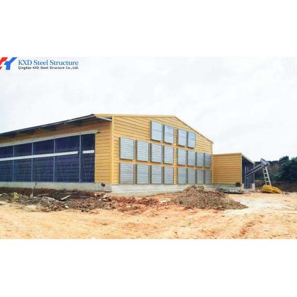 Galvanized Steel Poultry Farming Equipment with Automatic Operation and High Efficiency Auto Feeding System