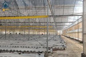 Wholesale Agricultural Clear Plastic Greenhouse UV Resistant PE Film Greenhouse For Farms from china suppliers
