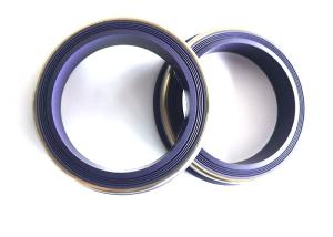 Wholesale Hot Sale Hammer Union Seal with Brass/Stainless Anti-Ext for High Pressure Environments from china suppliers