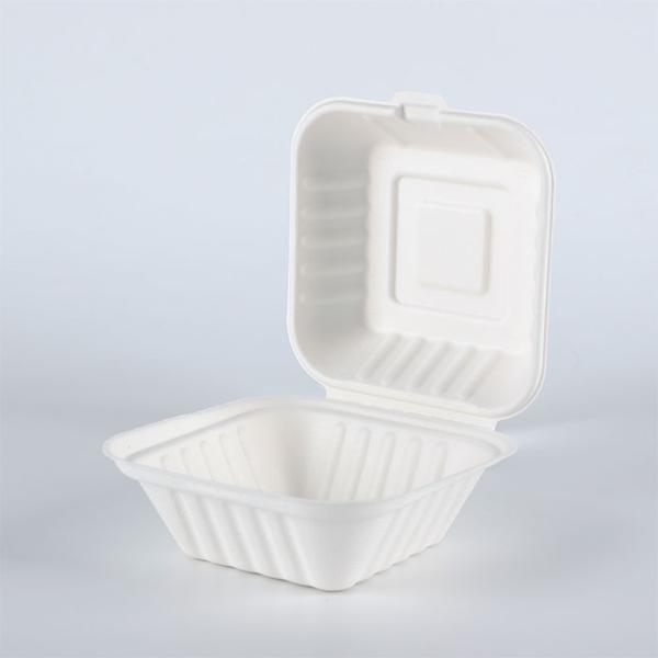 Disposable Biodegradable Bagasse fast food takeaway dinnerware container