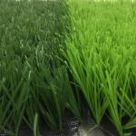 55mm 60mm 50mm Artificial Grass Soccer Field Sports Turt Flooring Popular Style