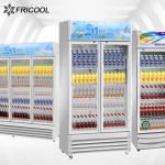 Air Cooling System R290 GAS 2 Glass Door Merchandisers 1170L