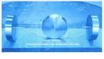 Stainless Steel Floater Plate For Air Vent Head Model 533hfb-250a Air Vent