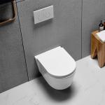 Watermark Wall Hung Toilet 530x364x345mm Portable Lavatory Sanitary Ware