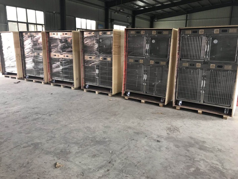 Veterinary Medecines Animal Veterinary Portable X Ray