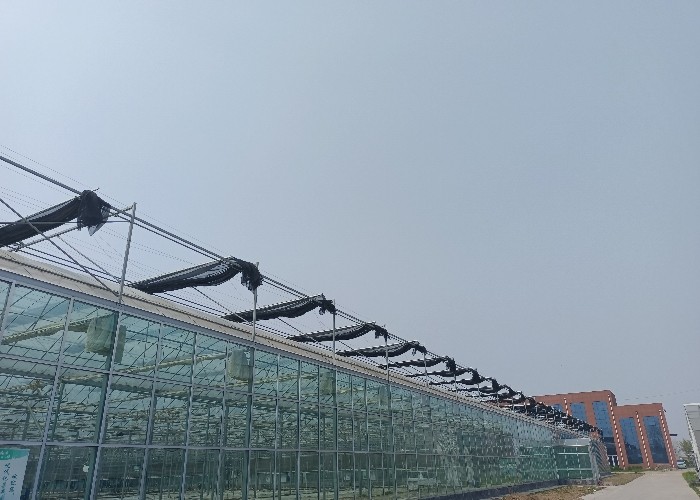 Modular Agricultural Greenhouse For Sale Dome Roof Cover Film Side Cover Multi Span Cucumber Lettuce Growing