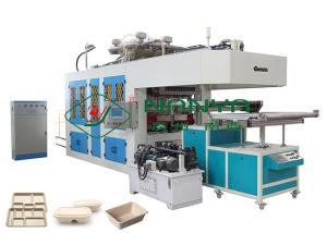 Wholesale Compostable 400kg/h Fiber Pulp Tableware Dinnerware Machinery from china suppliers