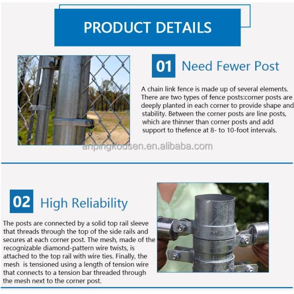 Galvanized PVC Coated Low Carbon Steel Wire Chain Link Fence for Farming in 50ft Roll