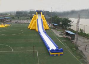 Wholesale Slip Inflatable Giant Slide Ladder Single Lane Design High Speed Exciting Anti Flamming from china suppliers