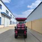 6 Seater Pink Electric Golf Cart With Lead Acid Battery