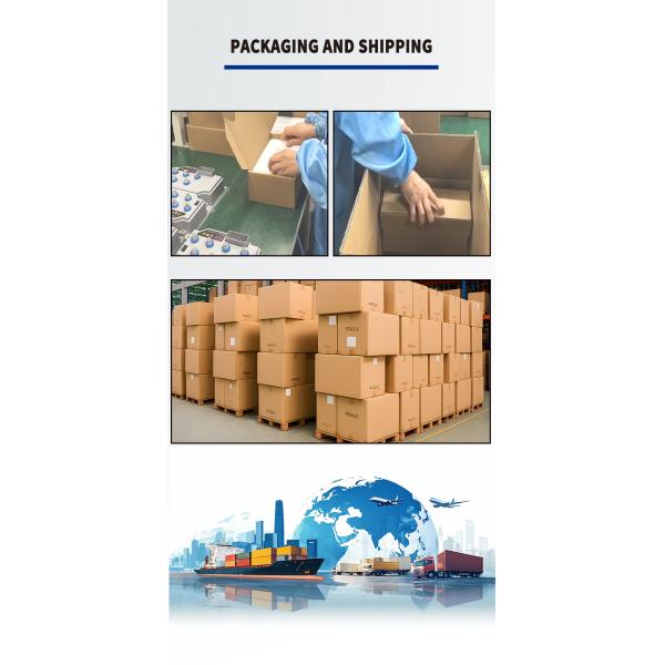 400W Absolute Value Encoder, Electric Forklift Steering Servo Motor, Robot Servo Motor