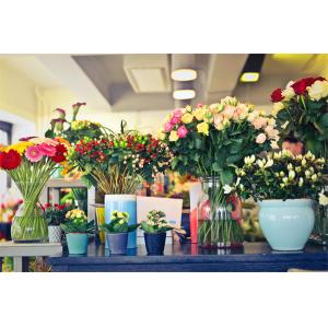 Chongqing Prosper International Trade Co., Ltd.