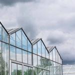 9.6m 10.8m 12m span venlo prefab glass greenhouse indoor for vegetable