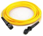 Single Mode Fiber Patch Cord MTRJ To MTRJ 2mm Length