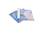 Advertising Brochure Printing Coated Paper Offset Printing A4 A5 A6 Size