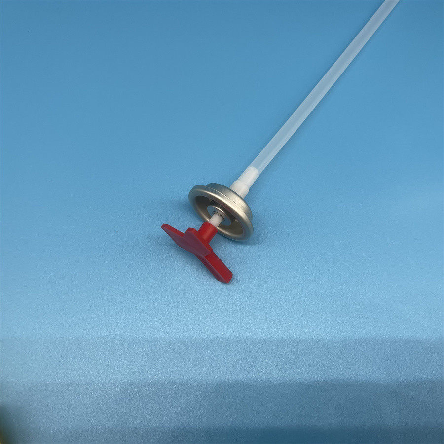 Stainless Steel Fire Extinguisher Valve for Commercial Buildings with Easy Installation