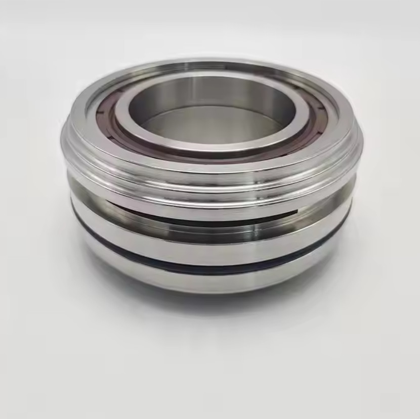 Mechanical Seal VX186 Vogelsang Pumps Shaft Seal PBT.D051/PBT.D050
