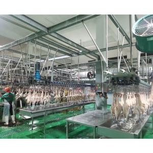 Wholesale 62*66*99CM Chicken Slaughtering Machine for Scalder Processing in South Africa Market from china suppliers