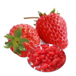 Wholesale Highly Nutritional Dried Fruit Snacks , Freeze Dried Strawberries No Sugar Added from china suppliers
