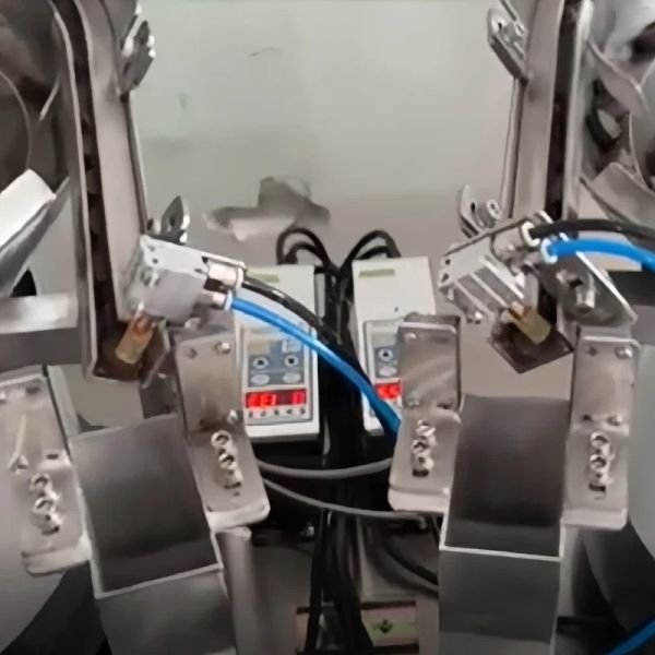 Double Disk Premade Pouch Packing Machine Counting Premade Pouch Filling Sealing Machine 2.6KW