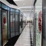 Strong Weather Resistance and Excellent Insulation Acoustic Insulation Glass