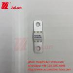FUSE ASTM 125A 125VDC 10KA Breaking Capacity Electric Vehicle Fuse