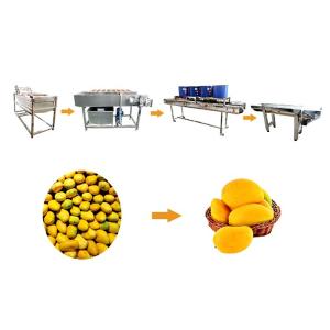 Wholesale Continuous Food Drying Machine Fruit Bubble Washing Processing Line from china suppliers