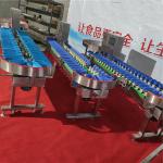 Conveyor Weight Sorting Machine